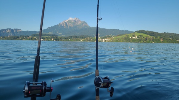 IMG-20250628-WA0027