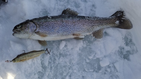 motion photo 1136083921584348652