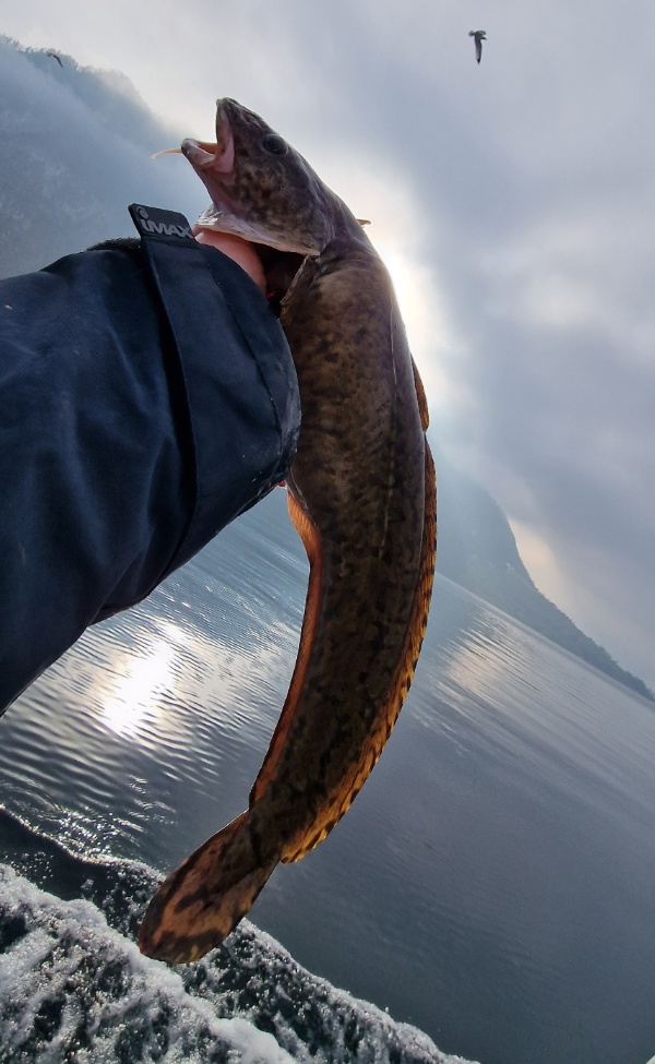 Trueschen 25 01 2026