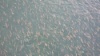 20260504 125900 1 20260504 125900 1