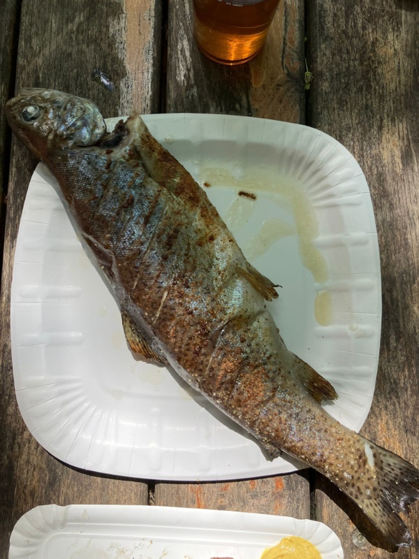 IMG-20260509-WA0106